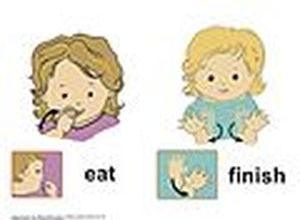 Baby Sign Language?