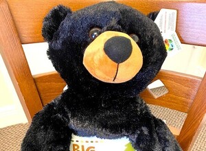 The Big Bear Hug Story Medium Size Bear Set